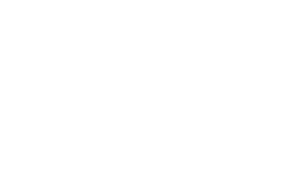 Fulton Hogan